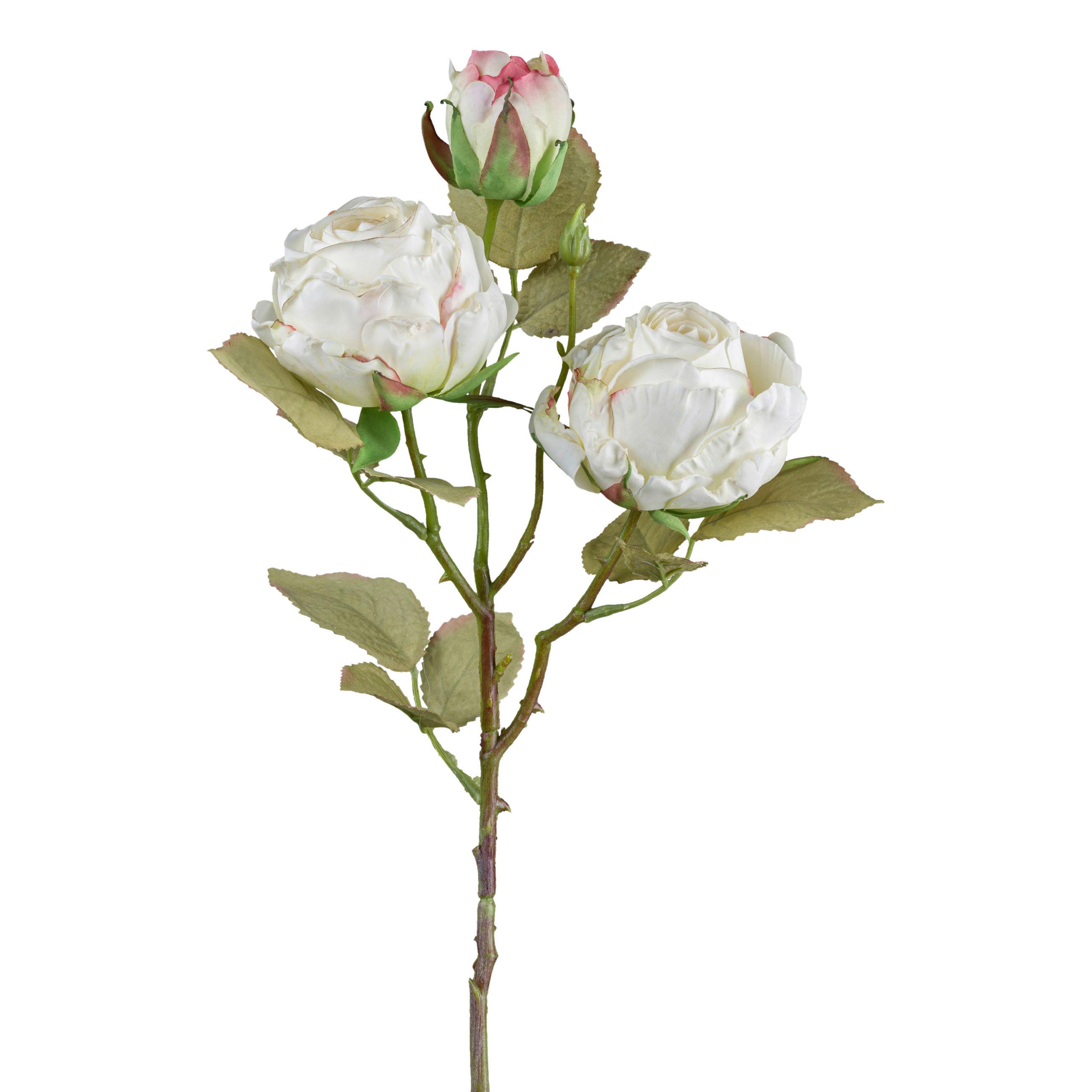 DEKORAČNÍ VĚTVIČKA VINTAGEROSE II - bílá/zelená, Konvenční, plast (54cm) - Modern Living