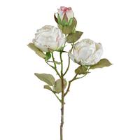 DEKORAČNÁ VETVIČKA VINTAGEROSE II - biela/zelená, Konventionell, plast (54cm) - Modern Living