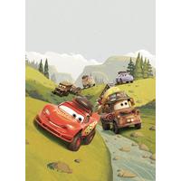 Fototapete Cars Camping - Multicolor, Trend, Textil (200/280cm)