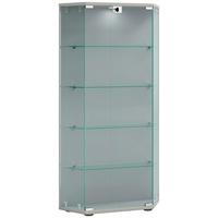Vitrine Cenila Silberfarben B: 83 Cm - Transparent/Silberfarben, Design, Glas/Holzwerkstoff (83/114/17cm) - MID.YOU