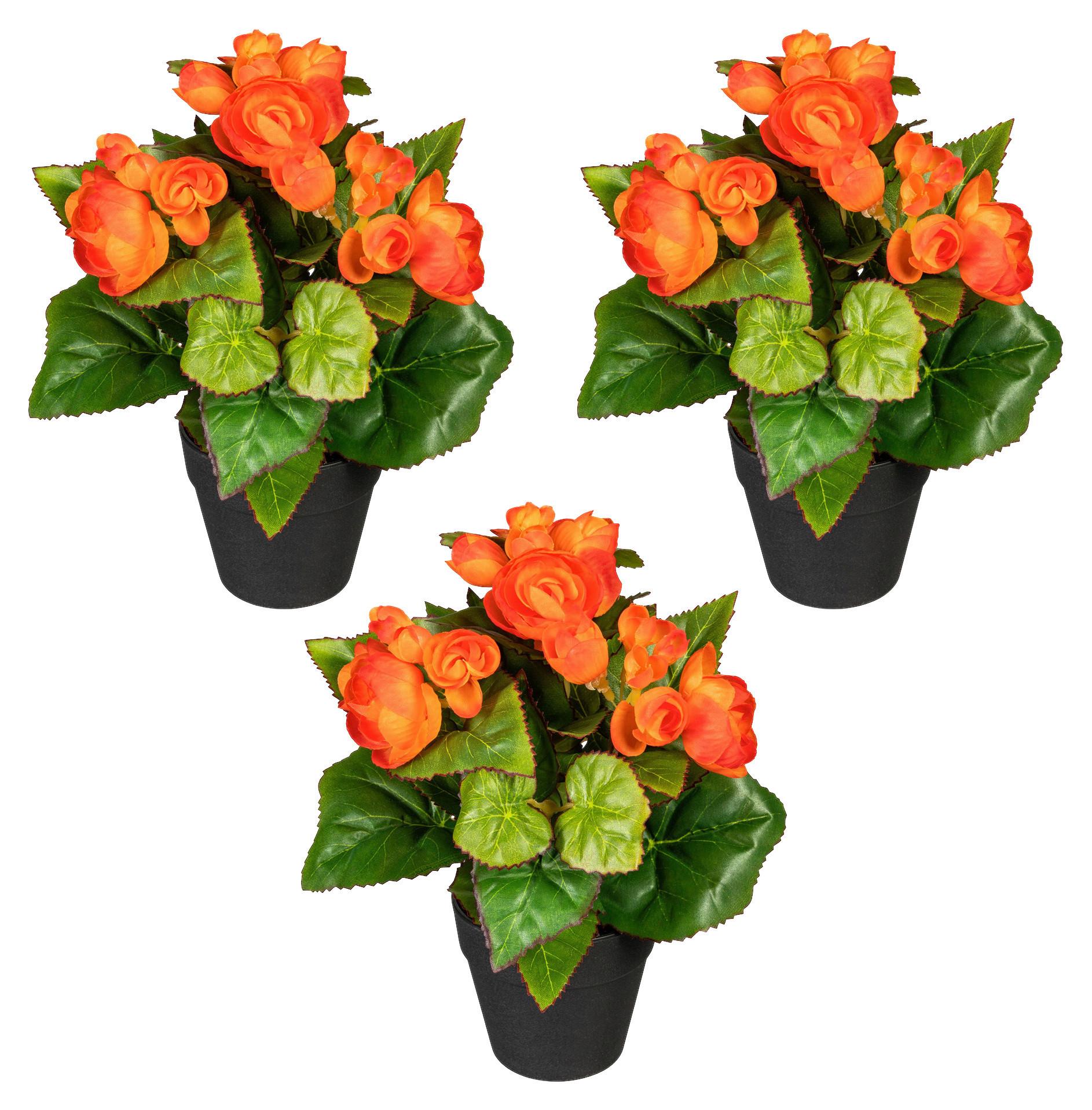 Kunstpflanze Begonien inkl. Topf D: 8 cm - Schwarz/Orange, Design, Kunststoff (24cm)