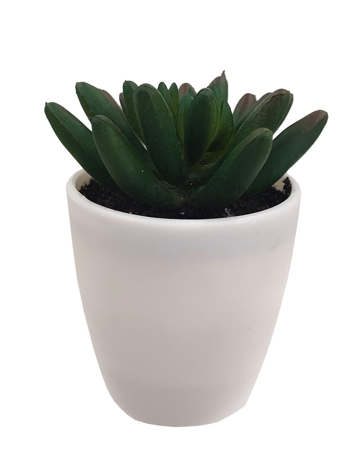 Kunstpflanze Isabella - Weiß/Grün, MODERN, Kunststoff (8/9-16cm) - Luca Bessoni