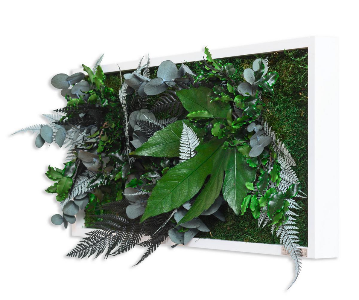 Moosbild Moos Grün B: 57 cm - Weiß/Grün, Basics, Naturmaterialien/Holz (57/27/15-17cm)