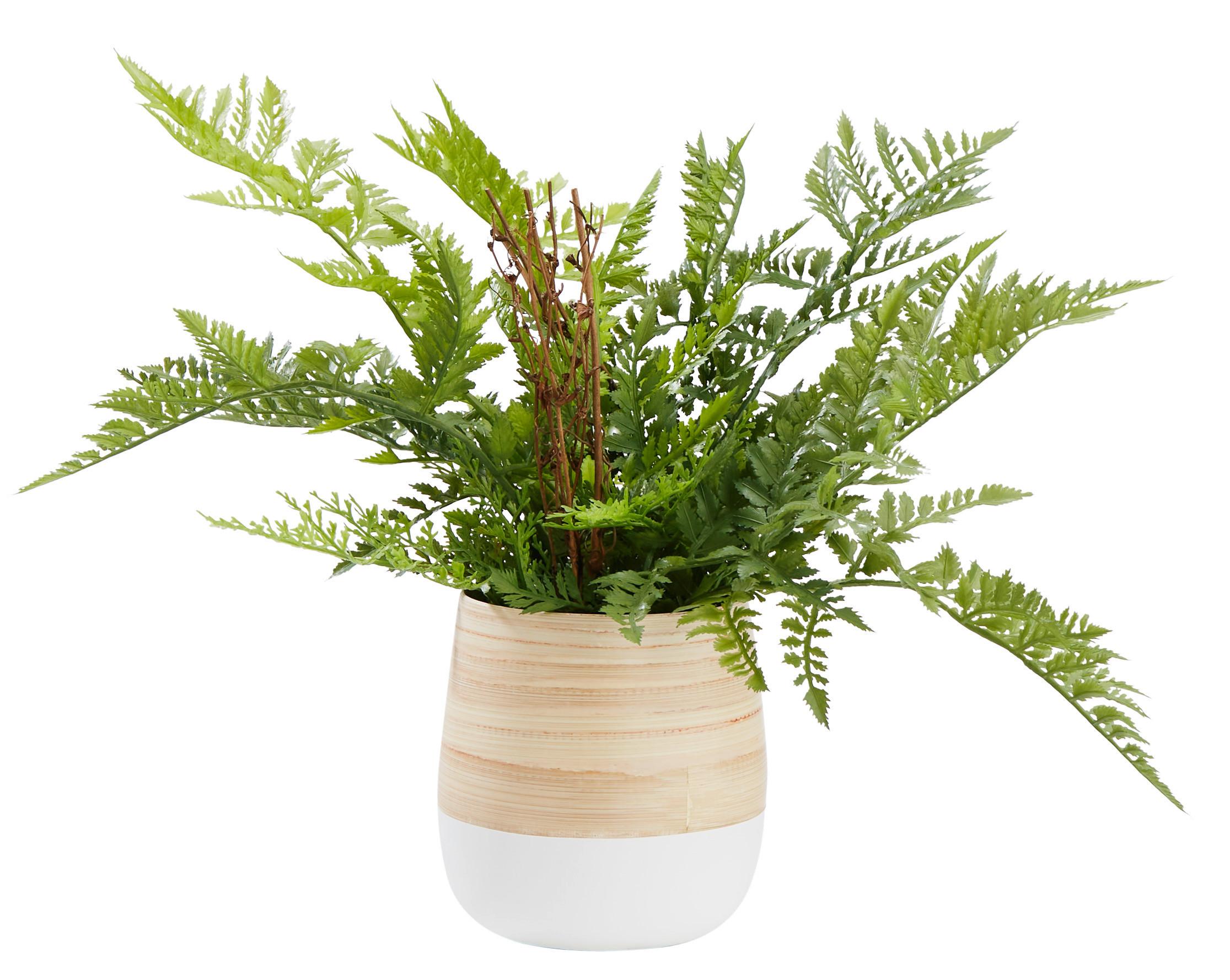 Obal Na Květináč Naturelle, Ø/v: 12/13cm - bílá/přírodní barvy, Konvenční, přírodní materiály (12/13cm) - Zandiara