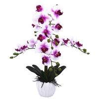 Orchidee Emilia - Violett/Aubergine, KONVENTIONELL, Keramik/Kunststoff (50/44/58cm) - Luca Bessoni