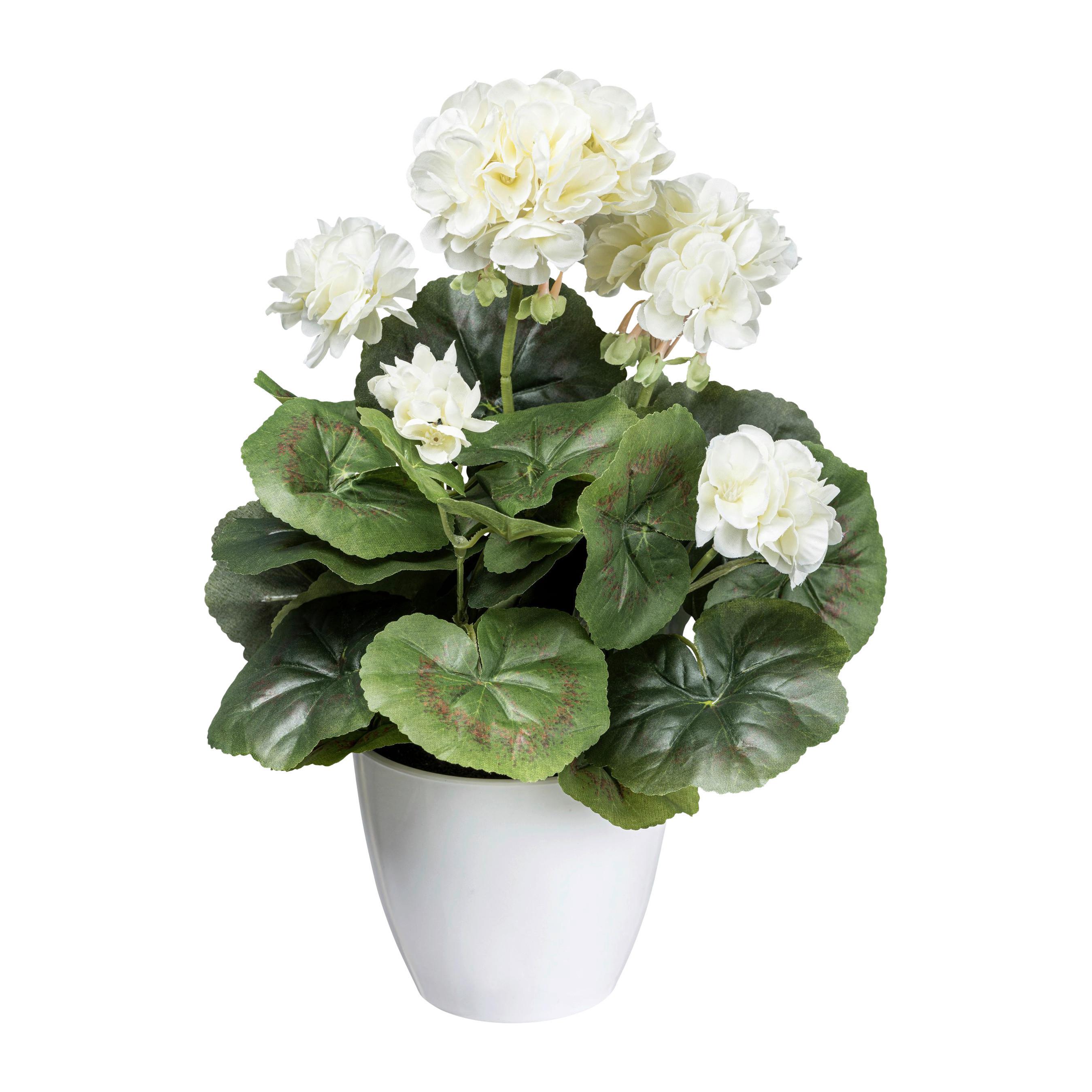 Kunstpflanze Blühpflanzen Creme/Grün/Weiß, 34 cm - Creme/Weiß, Design, Kunststoff (34cm) - P & B