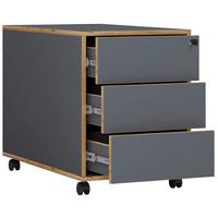 Container Salia Anthrazit, Honig B: 42 Cm - Honigeiche/Anthrazit, Design, Holzwerkstoff/Kunststoff (42/50/45cm) - MID.YOU