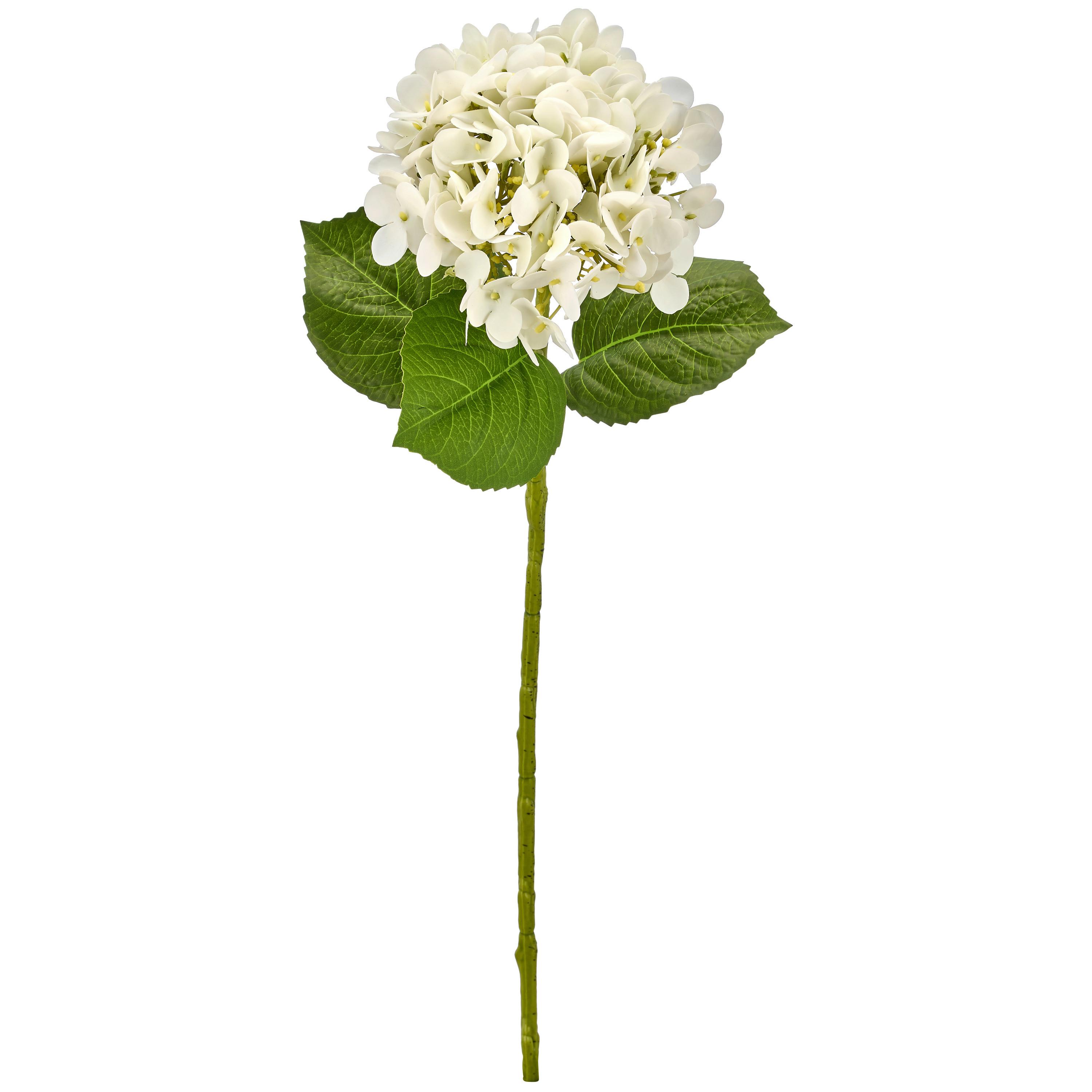 Hortensienzweig weiß/Grün 60 cm - Creme/Grün, MODERN, Kunststoff (60cm)