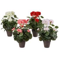 Művirág Gisi - krémszínű/világos rózsaszín, Modern, műanyag/kerámia (16/36cm) - Luca Bessoni