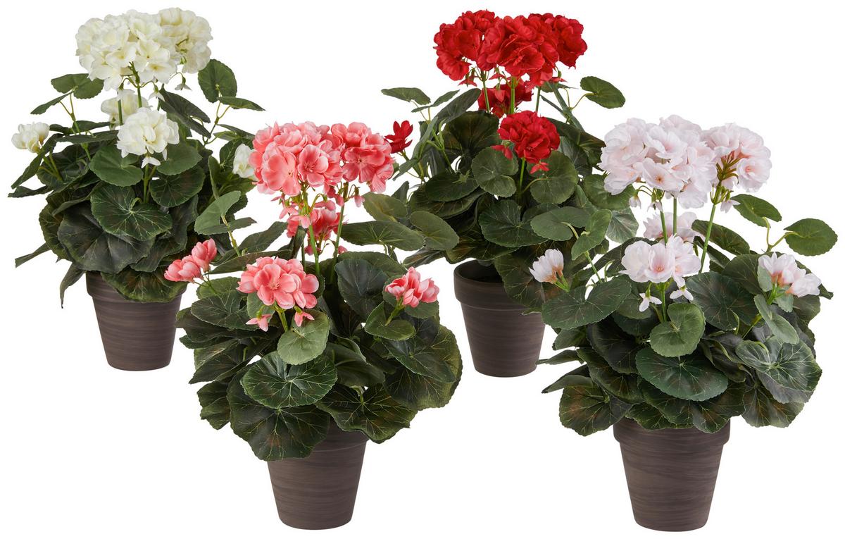 Művirág Gisi - krémszínű/világos rózsaszín, Modern, műanyag/kerámia (16/36cm) - Luca Bessoni