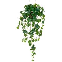 Englischer  Efeuhänger Kunststoff, Grün, H: 75 cm - Schwarz/Grün, Basics, Kunststoff (75cm) - P & B