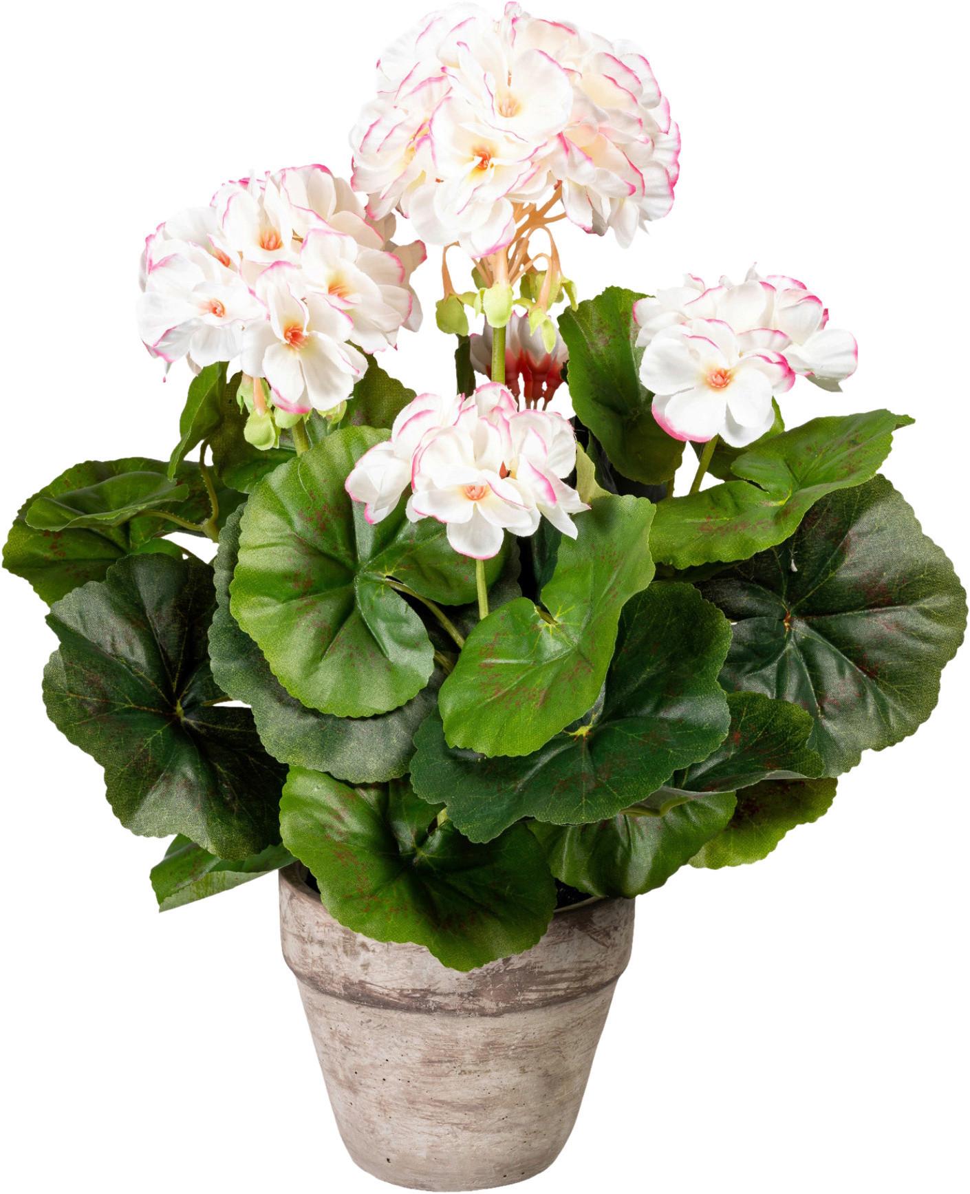 Kunstpflanze Blühpflanzen Grau/Grün/Rosa/Weiß, 34 cm - Rosa/Weiß, Design, Keramik/Kunststoff (34cm) - P & B