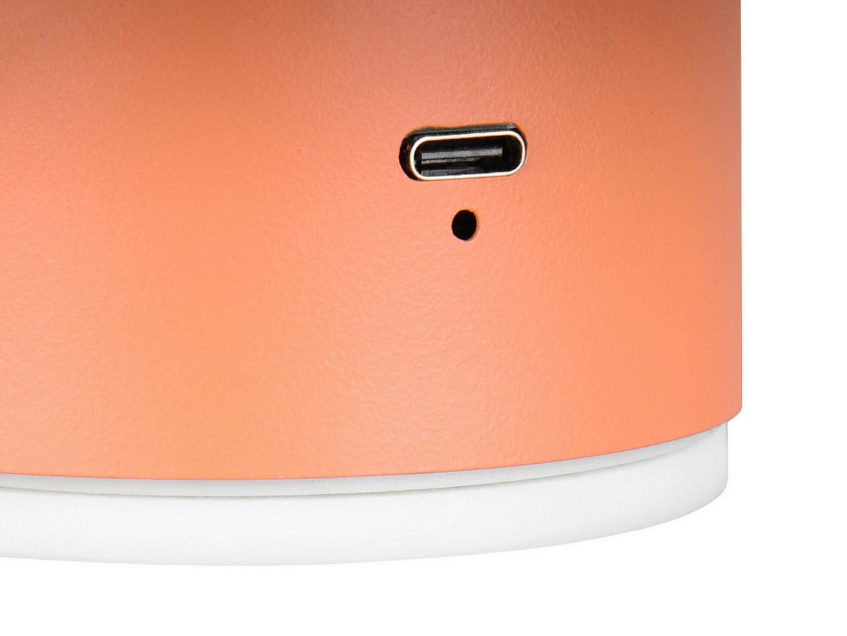 LED-Wandleuchte Davey Aprikose D: 15,5 cm - Aprikose, Design, Metall (15,5/8,4cm)