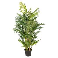 Kunstpflanze Palmen Braun/grün/schwarz, 170 Cm - Schwarz/Braun, Design, Kunststoff (170cm) - P & B