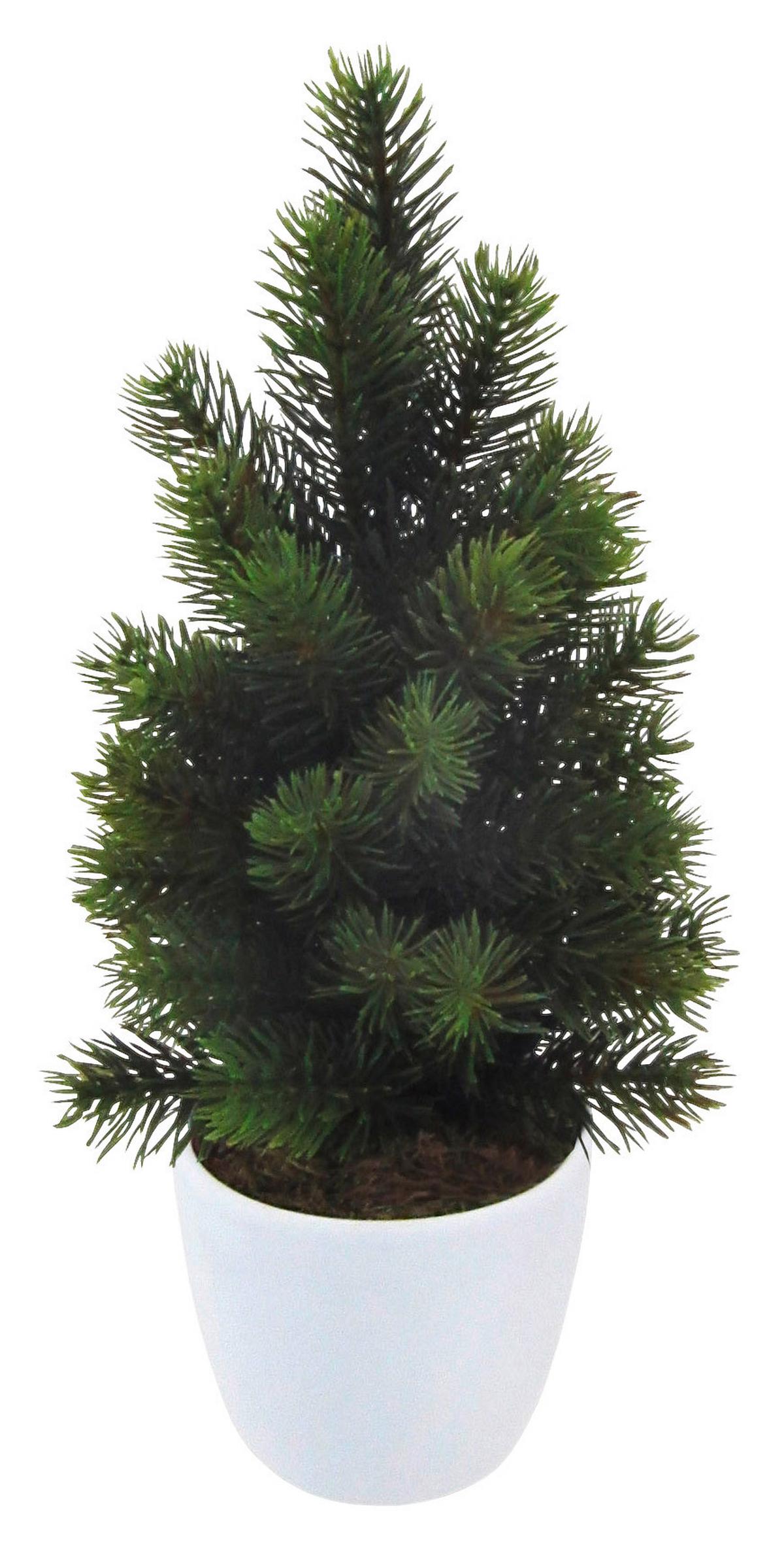 Umelá rastlina Jedľa I, výška: 38cm - hnedá/zelená, kov/plast (38cm)