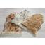 Rúno Lea - svetlohnedá, Romantický / Vidiecky, textil (60cm) - Mömax modern living Rúno Lea - svetlohnedá, Romantický / Vidiecky, textil (60cm) - Mömax modern living