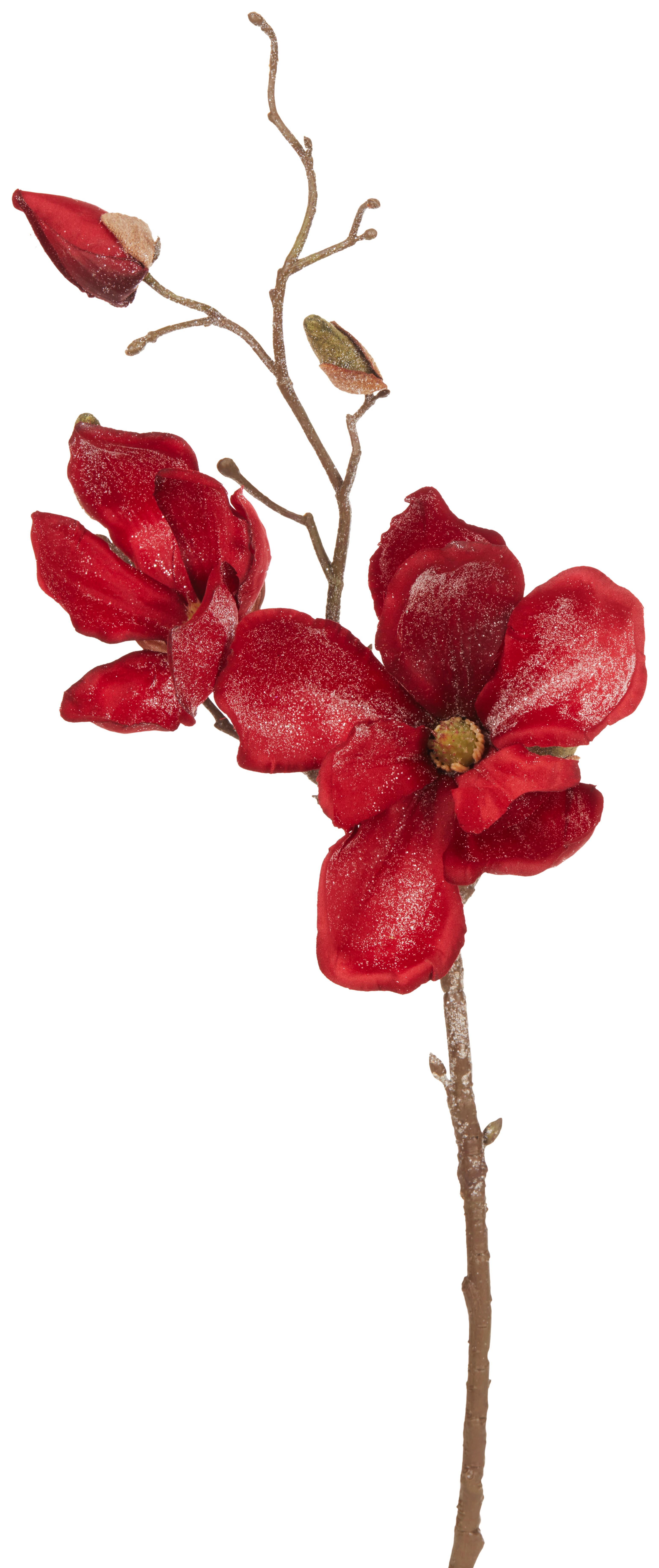 Kunstpflanze Magnolie Dunkelrot H: 50 cm Dowe Rot - Braun/Dunkelrot, Basics, Kunststoff/Textil (50cm)