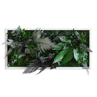 Moosbild Moos Grün B: 57 cm - Weiß/Grün, Basics, Naturmaterialien/Holz (57/27/15-17cm)