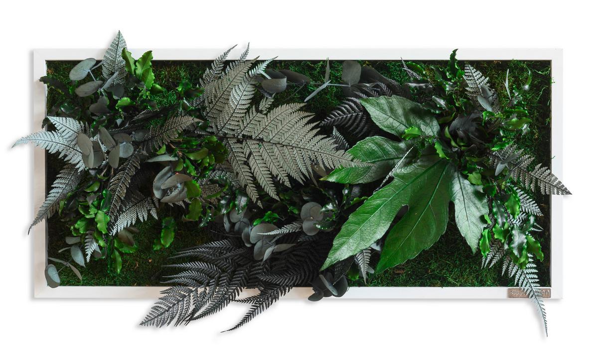 Moosbild Moos Grün B: 57 cm - Weiß/Grün, Basics, Naturmaterialien/Holz (57/27/15-17cm)