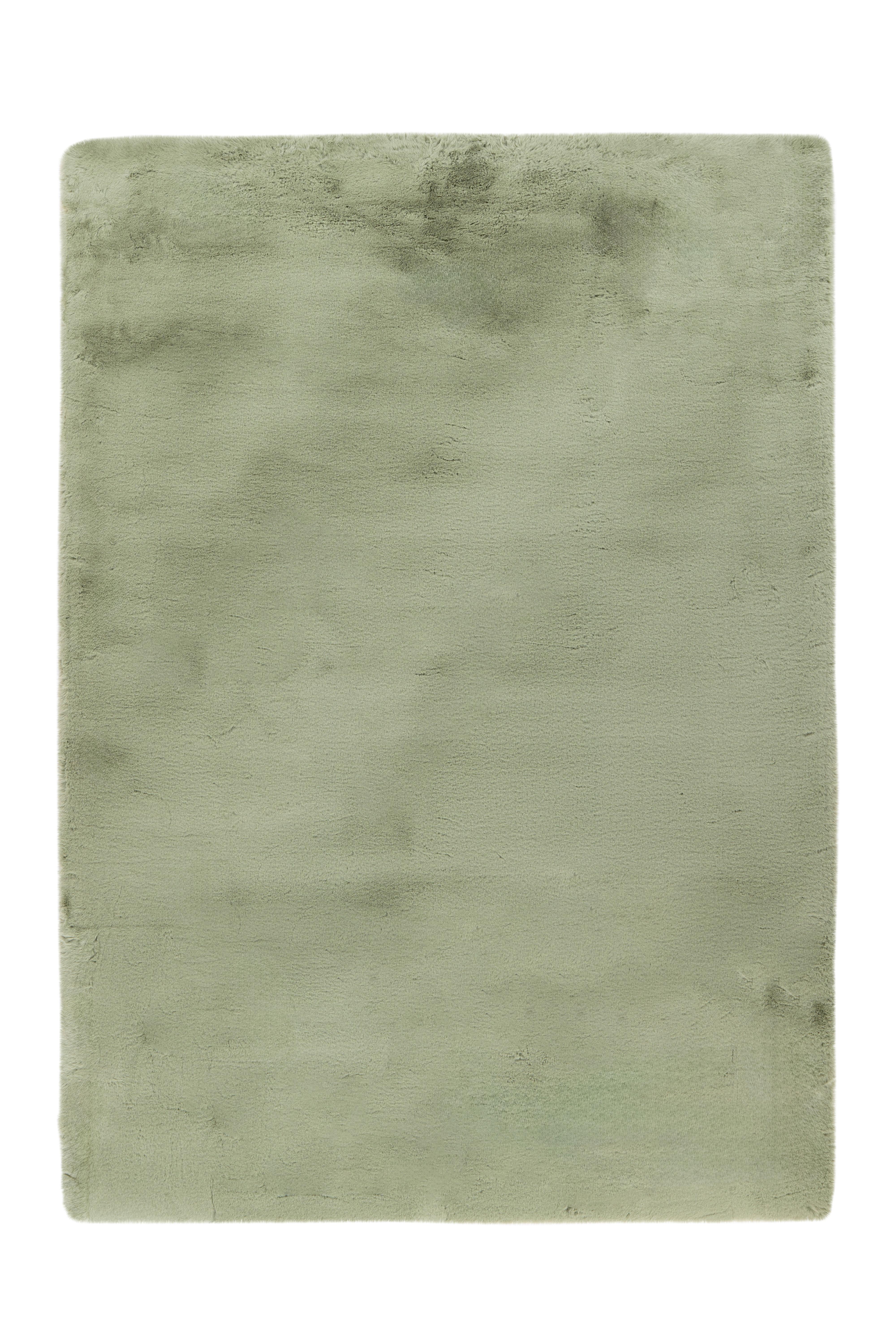 Hochteppich Rabbit Mintgrün, 120x170 cm - Mintgrün, KONVENTIONELL, Textil (120/170cm)