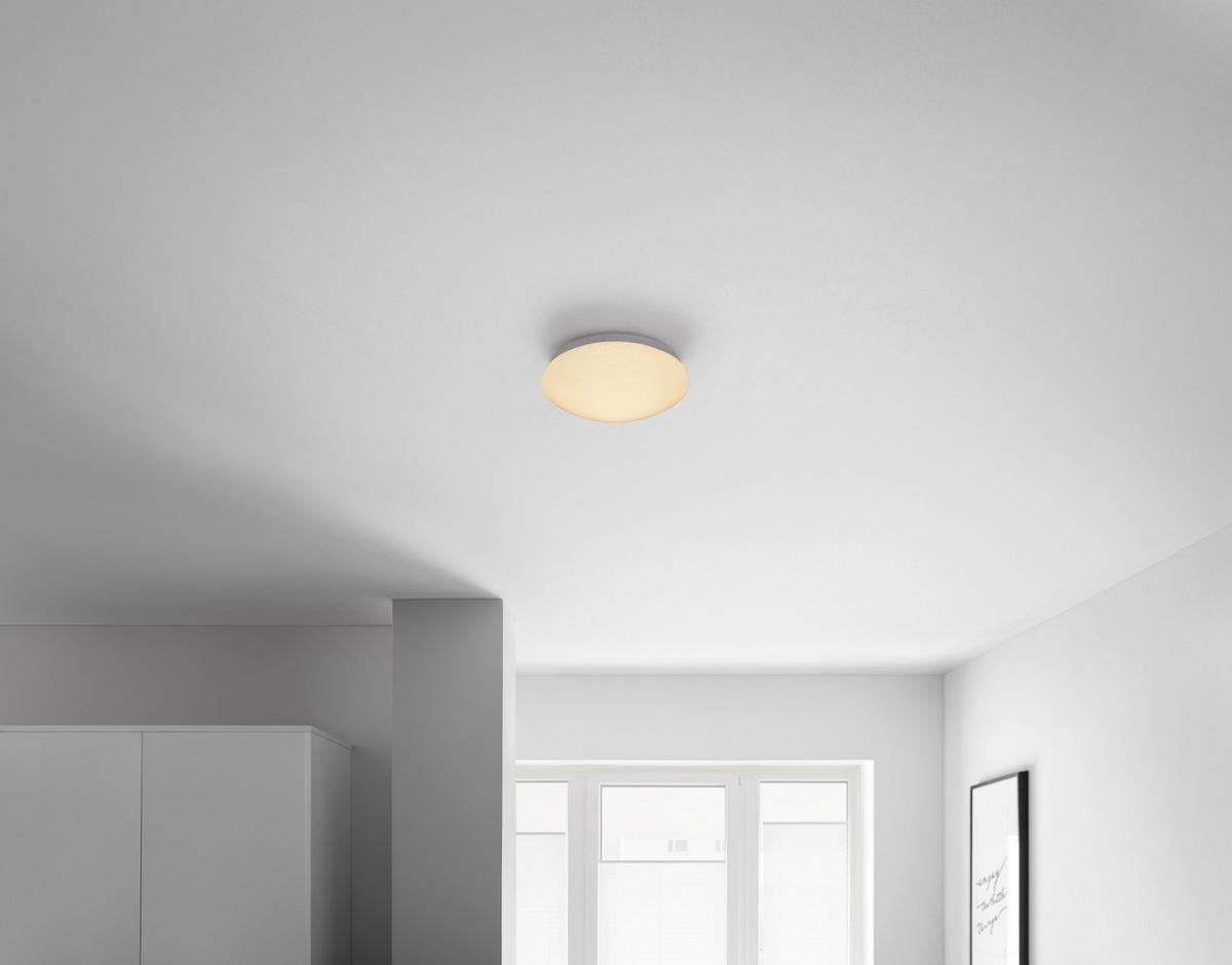 LED stropné svietidlo Dalia max. 11 Watt - biela, Konventionell, kov/plast (26/6cm) - Based