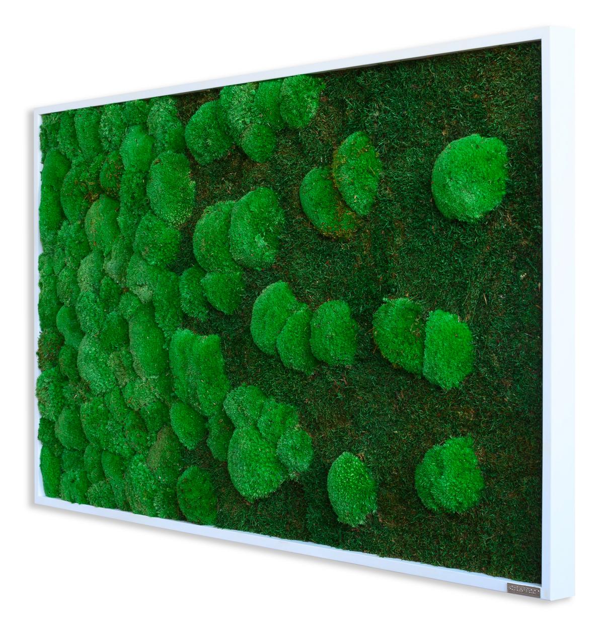 Moosbild Grün B: 100 cm - Weiß/Grün, Basics, Naturmaterialien/Holz (100/60/7cm)