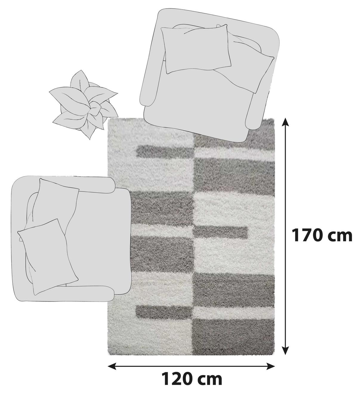 Hochflor Teppich Beige Gala 120x170 Cm - Beige, Design, Textil (120/170cm)