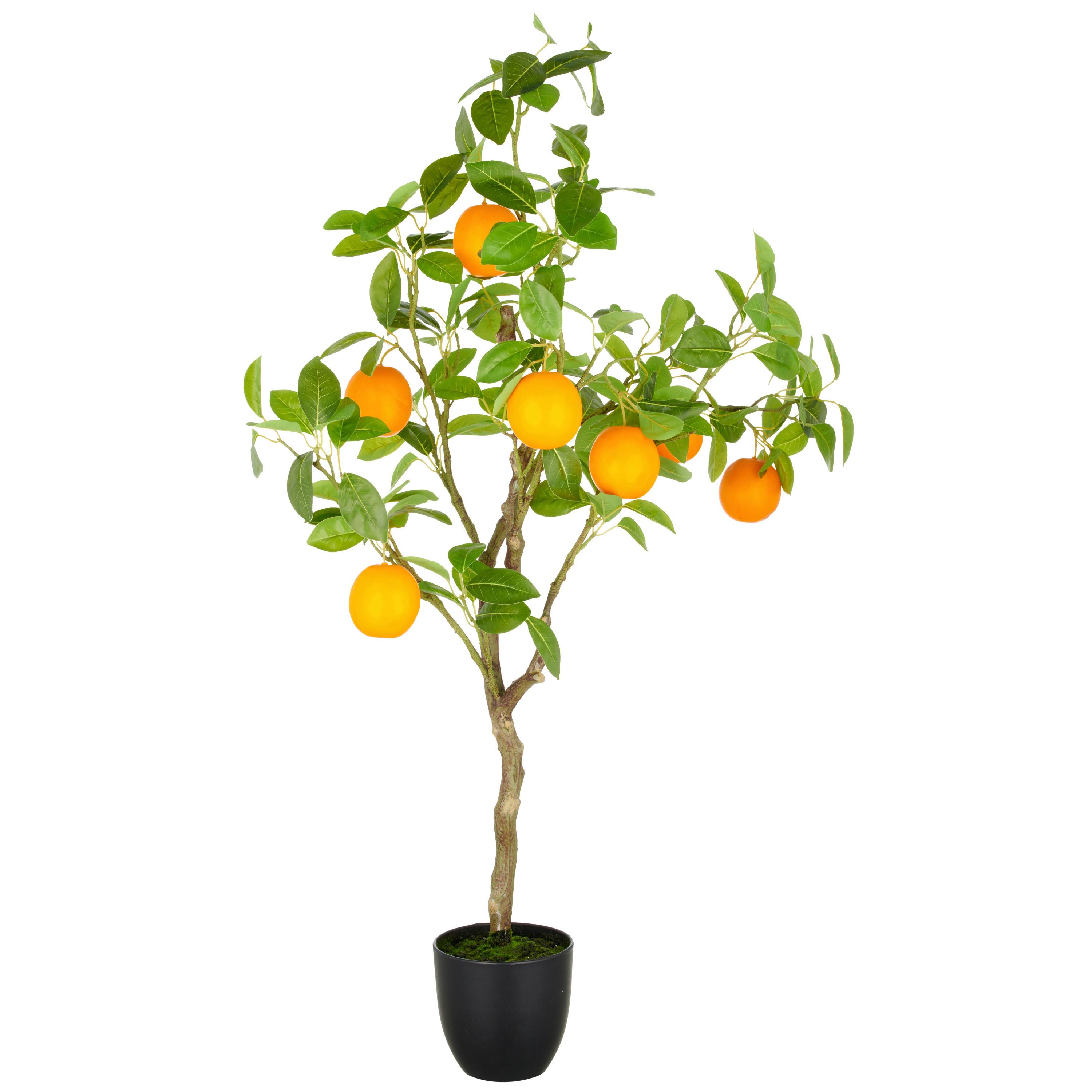 Orangenbaum Grün Orange Braun B: 21 cm - Braun/Orange, Basics, Kunststoff (21/115/21cm) - P & B