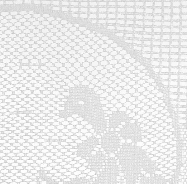Gardine Transparent Lace BxL: 50x150 cm - Detailansicht Spitze Gardine Transparent Lace BxL: 50x150 cm - Detailansicht Spitze