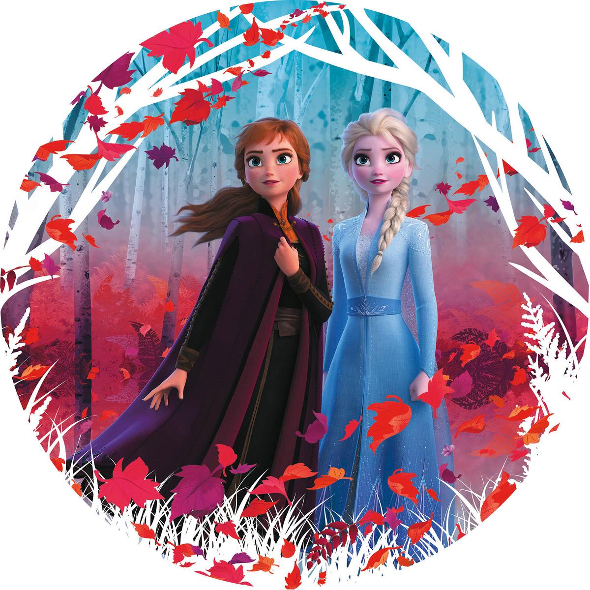 Vliestapete Frozen 2 Winter Is Coming - KONVENTIONELL (125cm)