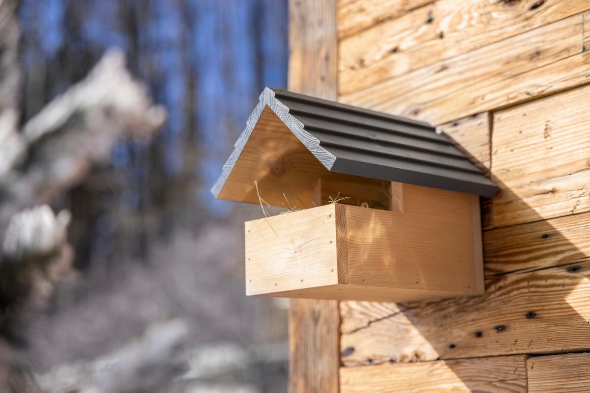Nistkasten Loggia BxHxT: 20x21,5x26,5 cm - Kieferfarben, Basics, Holz (20/21,5/26,5cm) - Windhager