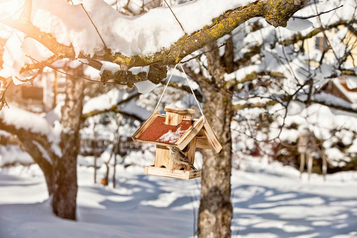 Vogelfuttersilo Gaisberg, Kiefer Bxhxt: 23x26,5x24,5 Cm - Naturfarben, Basics, Holz (23/26,5/24,5cm) - Windhager