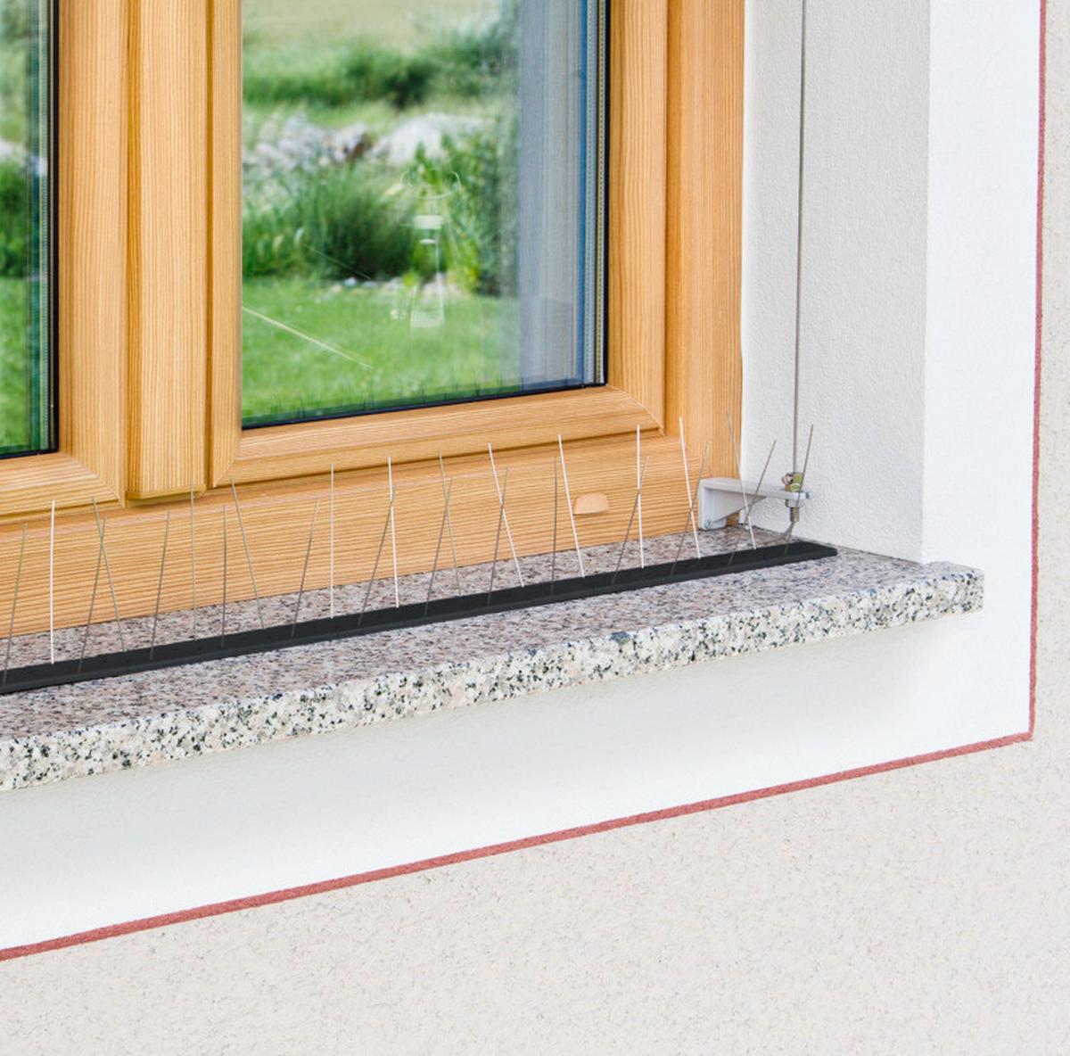 Vogel- & Taubenabwehr Starter Set - Schwarz, Basics, Kunststoff (102/11/5,5cm)