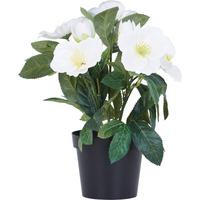 CHRISTROSE Christrose - Braun/Weiß, KONVENTIONELL, Kunststoff (32cm)