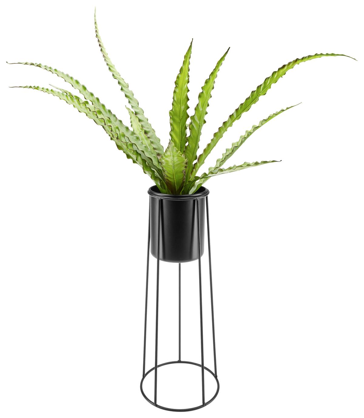 Kaspó Rachele - fekete, Modern, fém (18/45,5cm) - Luca Bessoni