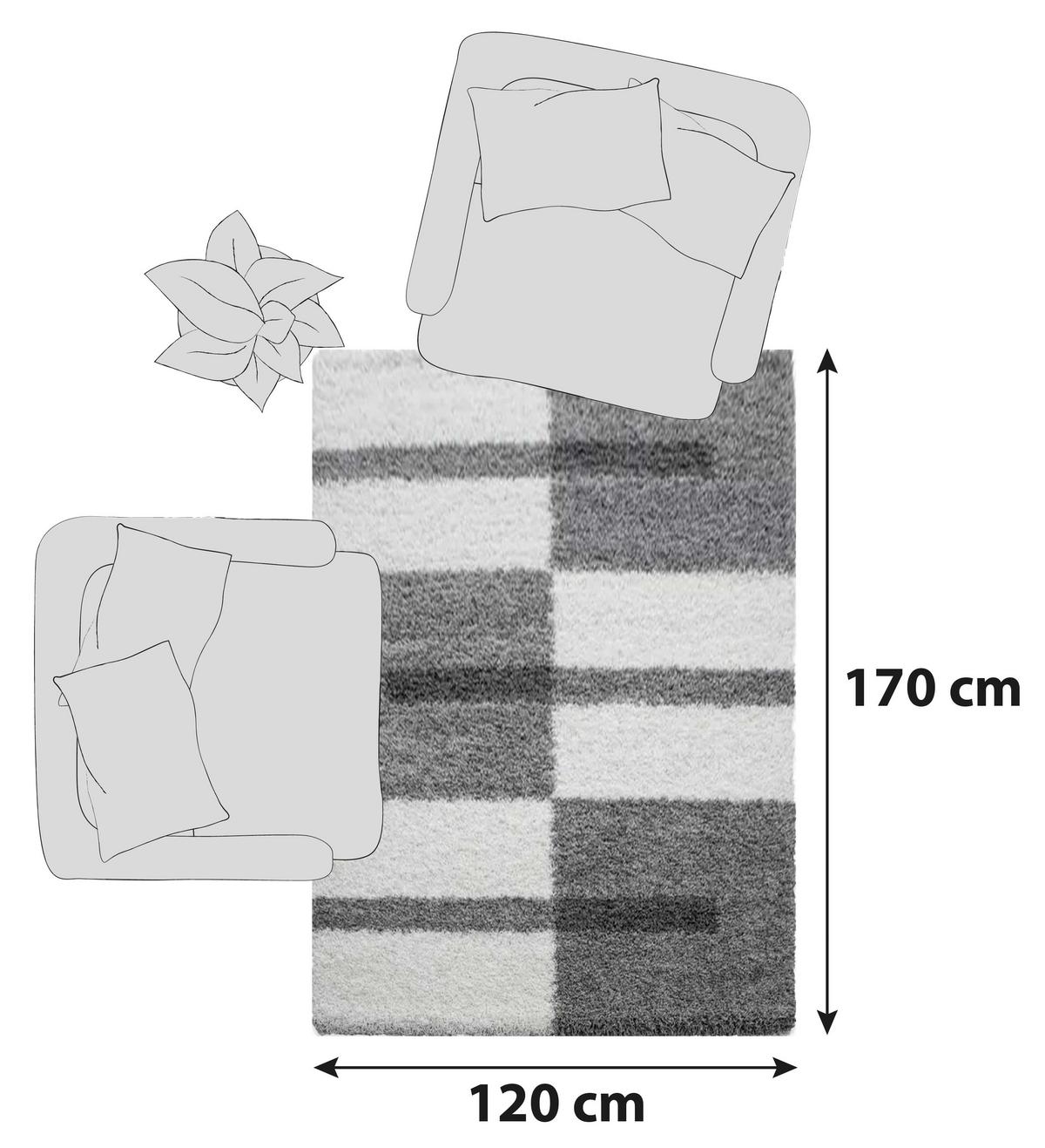 Hochflor Teppich Hellgrau Gala 120x170 Cm - Hellgrau, Design, Textil (120/170cm)