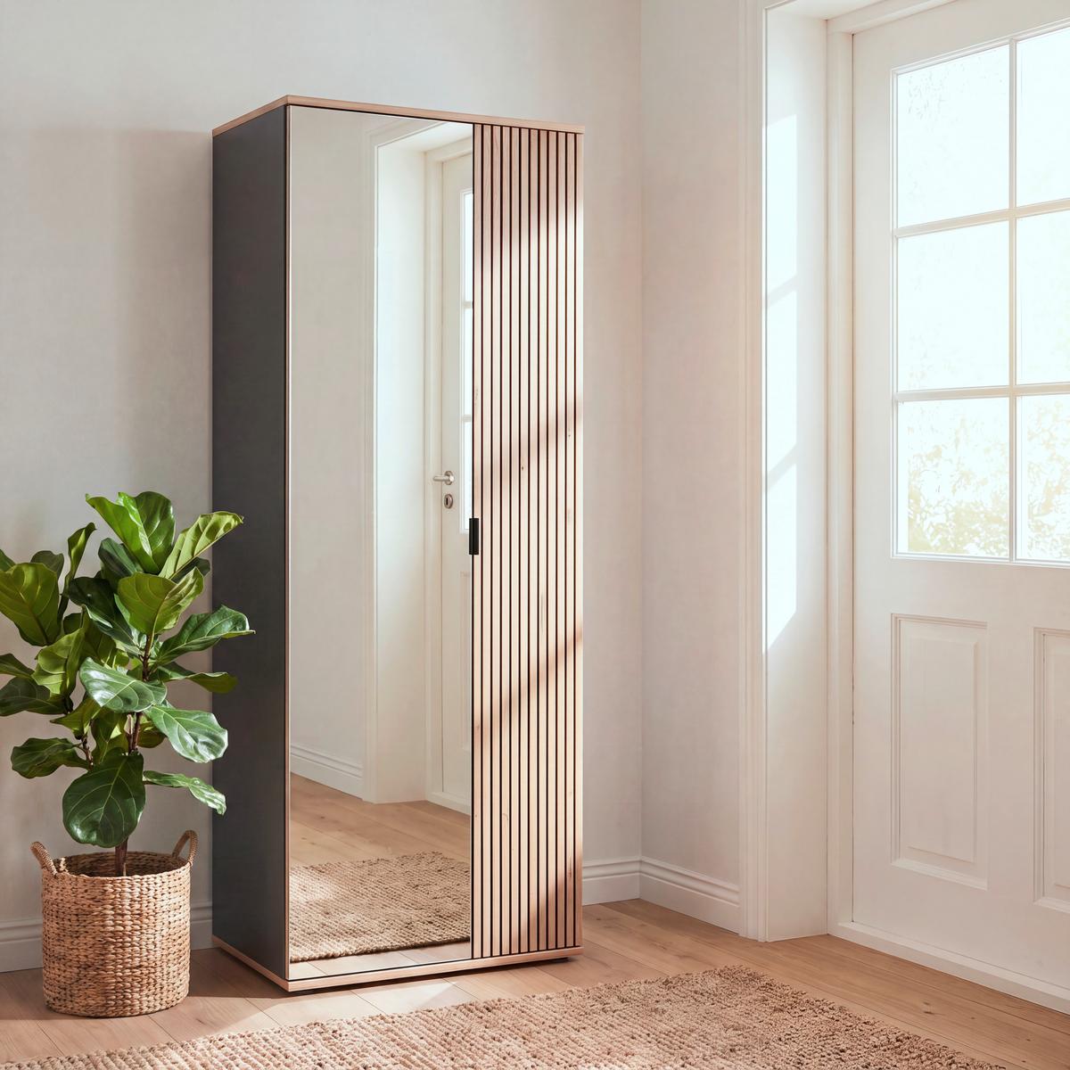 Garderobenschrank Clever Anthrazit B: 55,5 cm - Eichefarben/Anthrazit, MODERN, Glas/Holzwerkstoff (55,5/193/38cm)