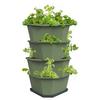 Pflanztopf Paul Potato Starter Dunkelgrün - Grün, Basics, Kunststoff (44/65/44cm)