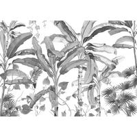Fototapete Croissances Monochrome - Schwarz/Weiß, Trend, Papier (400/280cm) - Komar