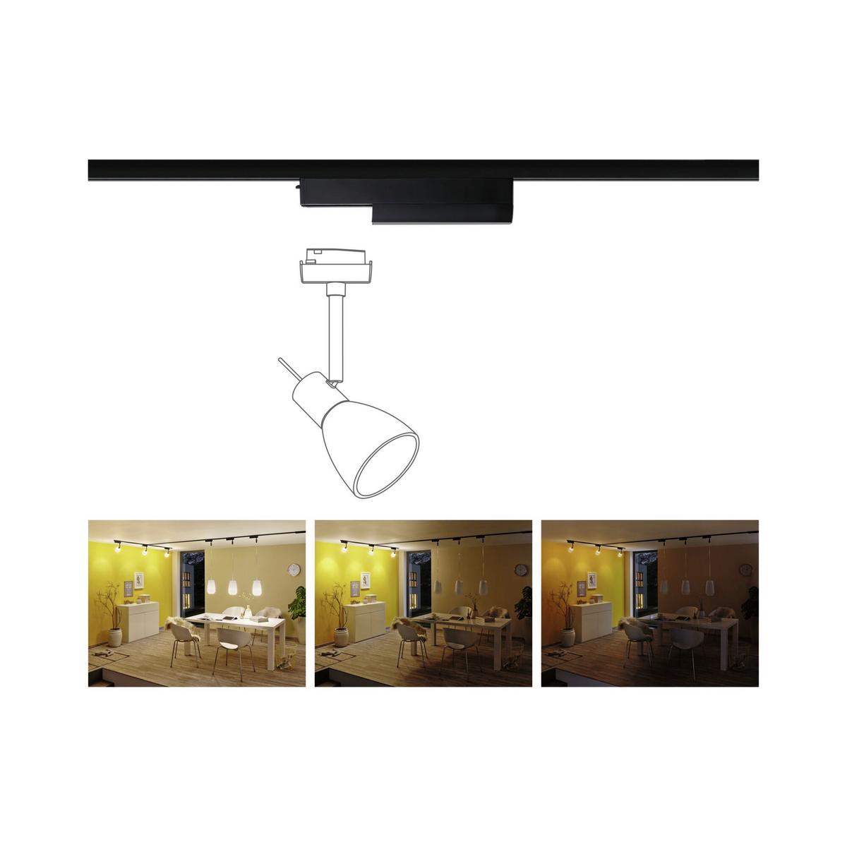Netzadapter 50 W Schwarz Zigbee-Technologie - Schwarz, Basics, Kunststoff (16,6/5,0cm) - Paulmann
