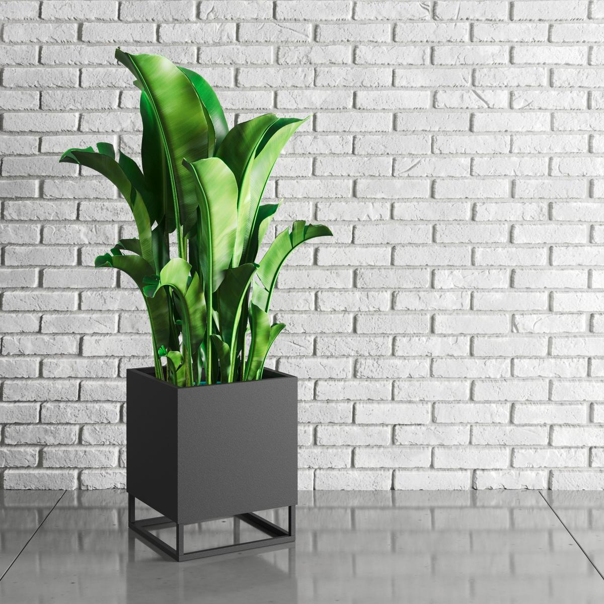 Blumenständer Metall Schwarz Bxhxt: 37x37x45 Cm - Schwarz, Basics, Metall (37/37/45cm)