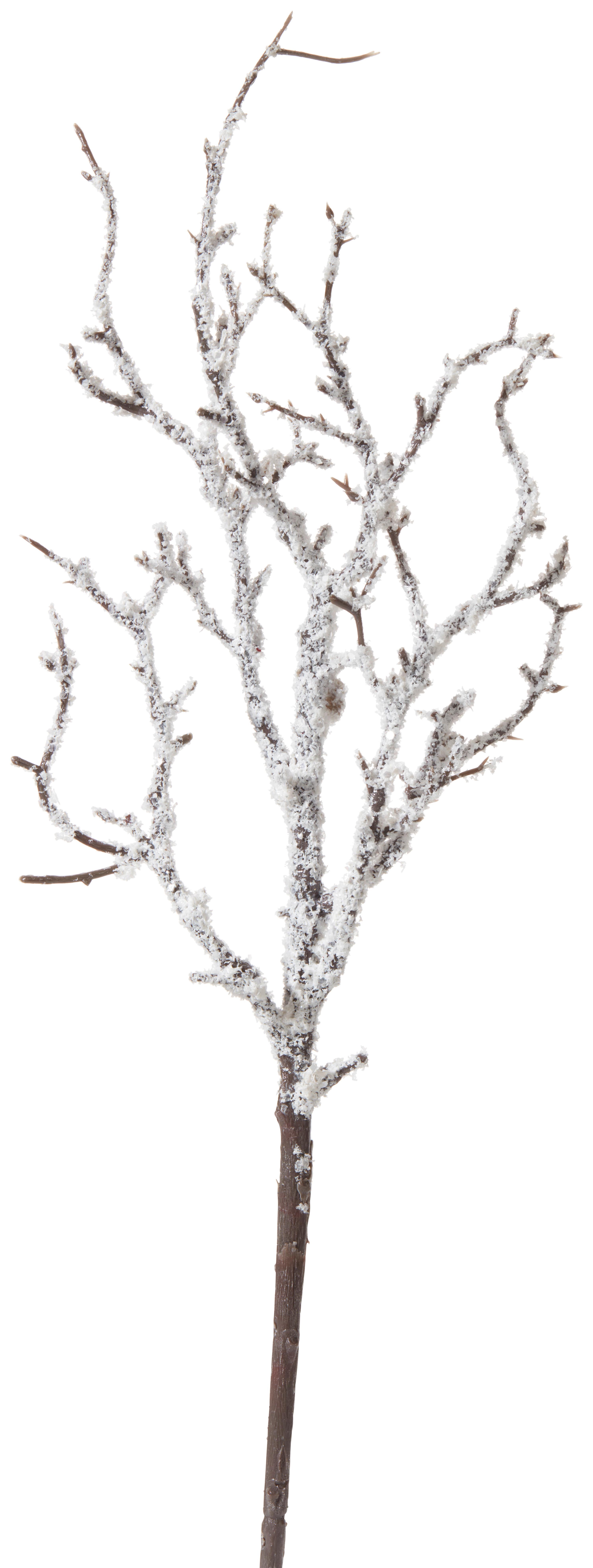 Weihnachtsdeko Zweig Kunststoff H: ca. 50cm - Weiß/Braun, MODERN, Kunststoff (50 cm)