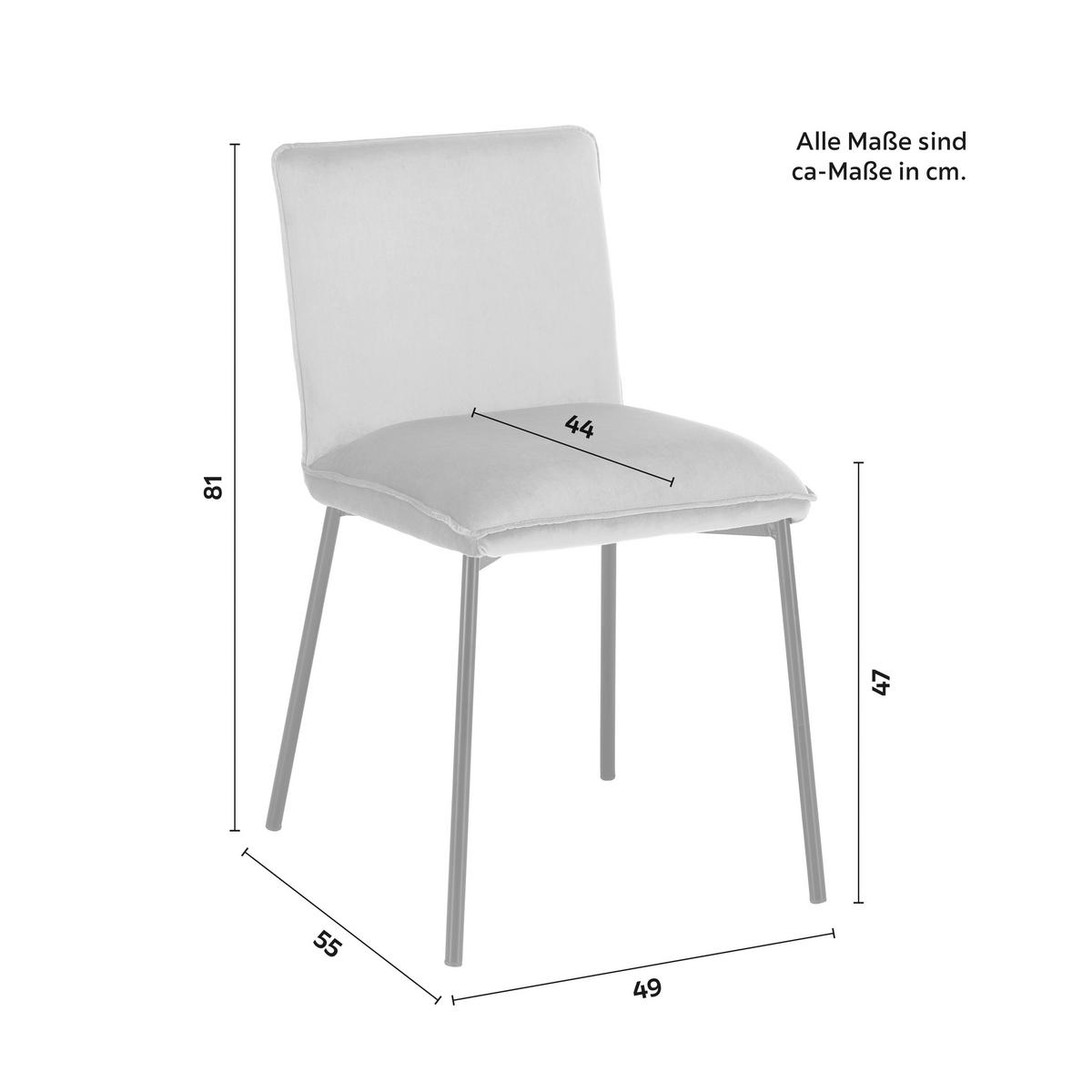 Židle DARLA šedá - černá/světle šedá, Moderní, kov/dřevo (49/81/55cm) - Bessagi Home