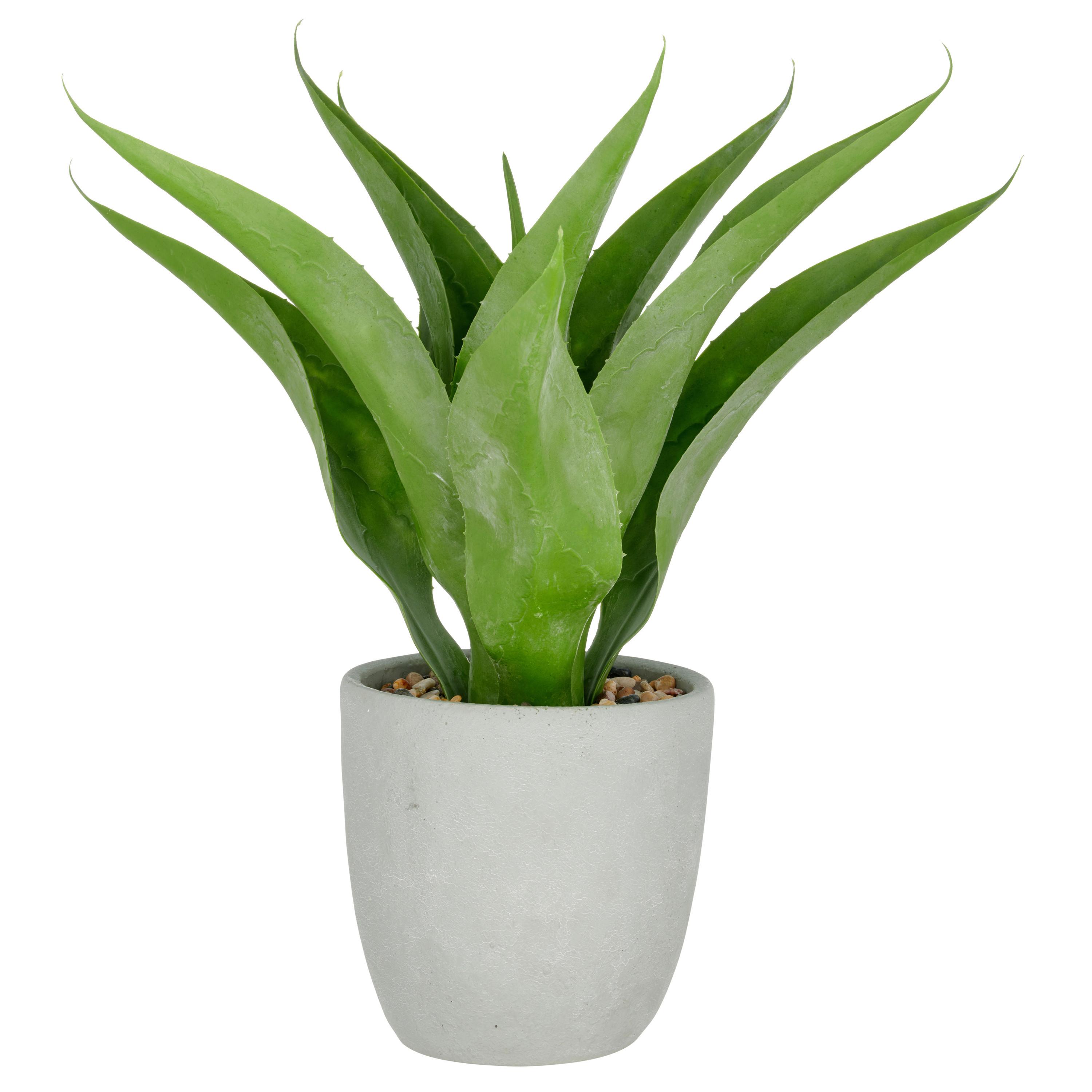 Agave Grün Grau B: 25 Cm - Grau/Grün, Basics, Kunststoff/Stein (75cm) - P & B