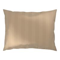 POŤAH NA VANKÚŠ XENIA STREIF - béžová, Modern, textil (40/60cm) - Premium Living