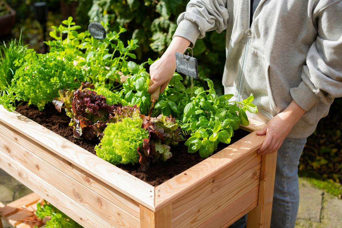 Hochbeet Hochbeet - Lärchefarben, KONVENTIONELL, Holz (120/65/75cm)