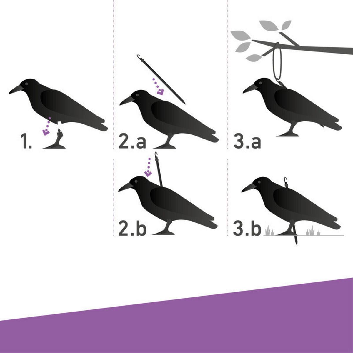 Vogelabwehr Vogel- und Taubenabwehr Crow - Schwarz, Basics, Kunststoff (12,5/39,5/12,5cm) - Windhager