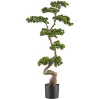 Kunstpflanze Bonsai H: 125 Cm - Schwarz/Braun, Design, Kunststoff (125cm) - P & B