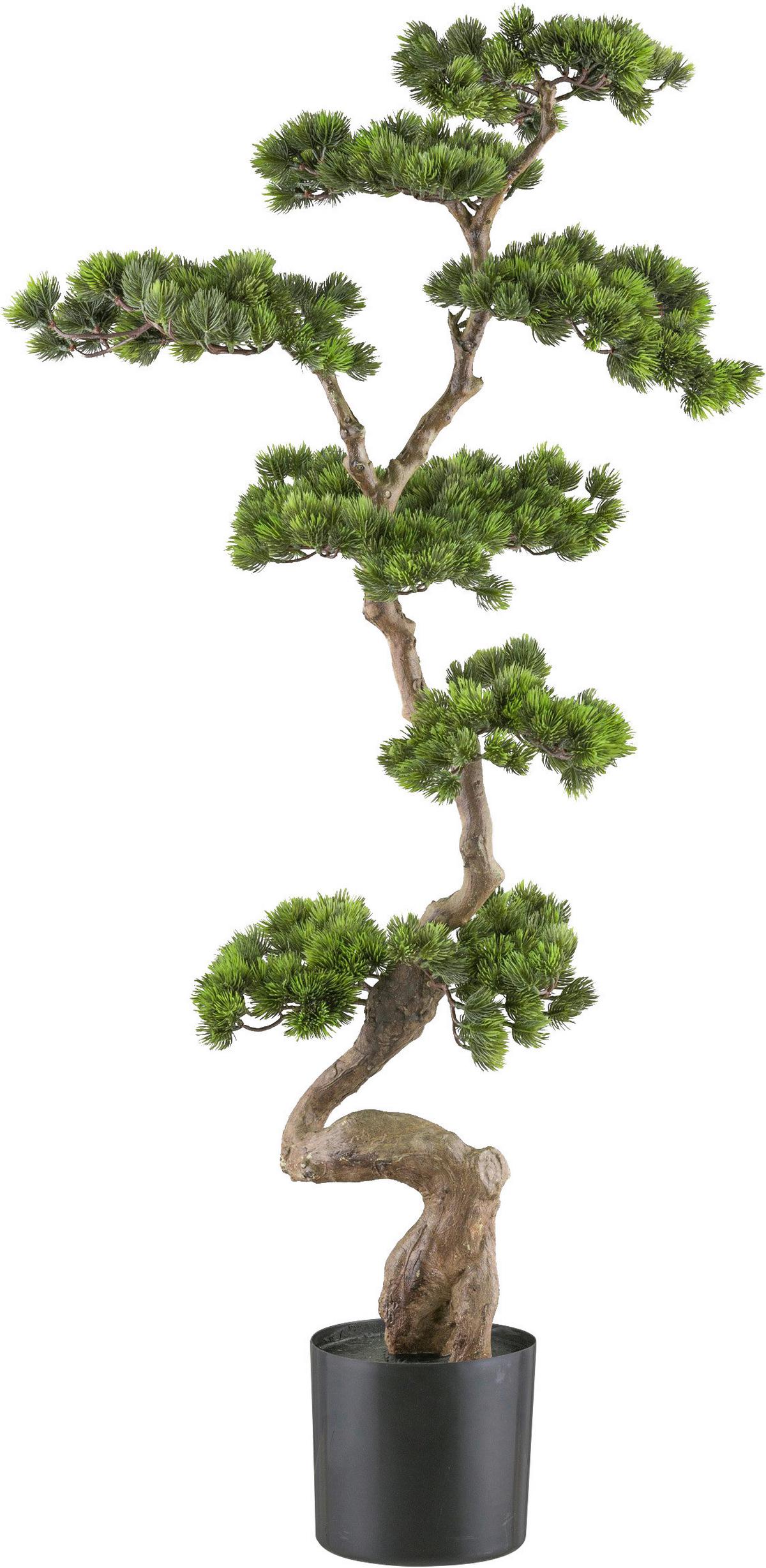 Kunstpflanze Bonsai H: 125 Cm - Schwarz/Braun, Design, Kunststoff (125cm) - P & B