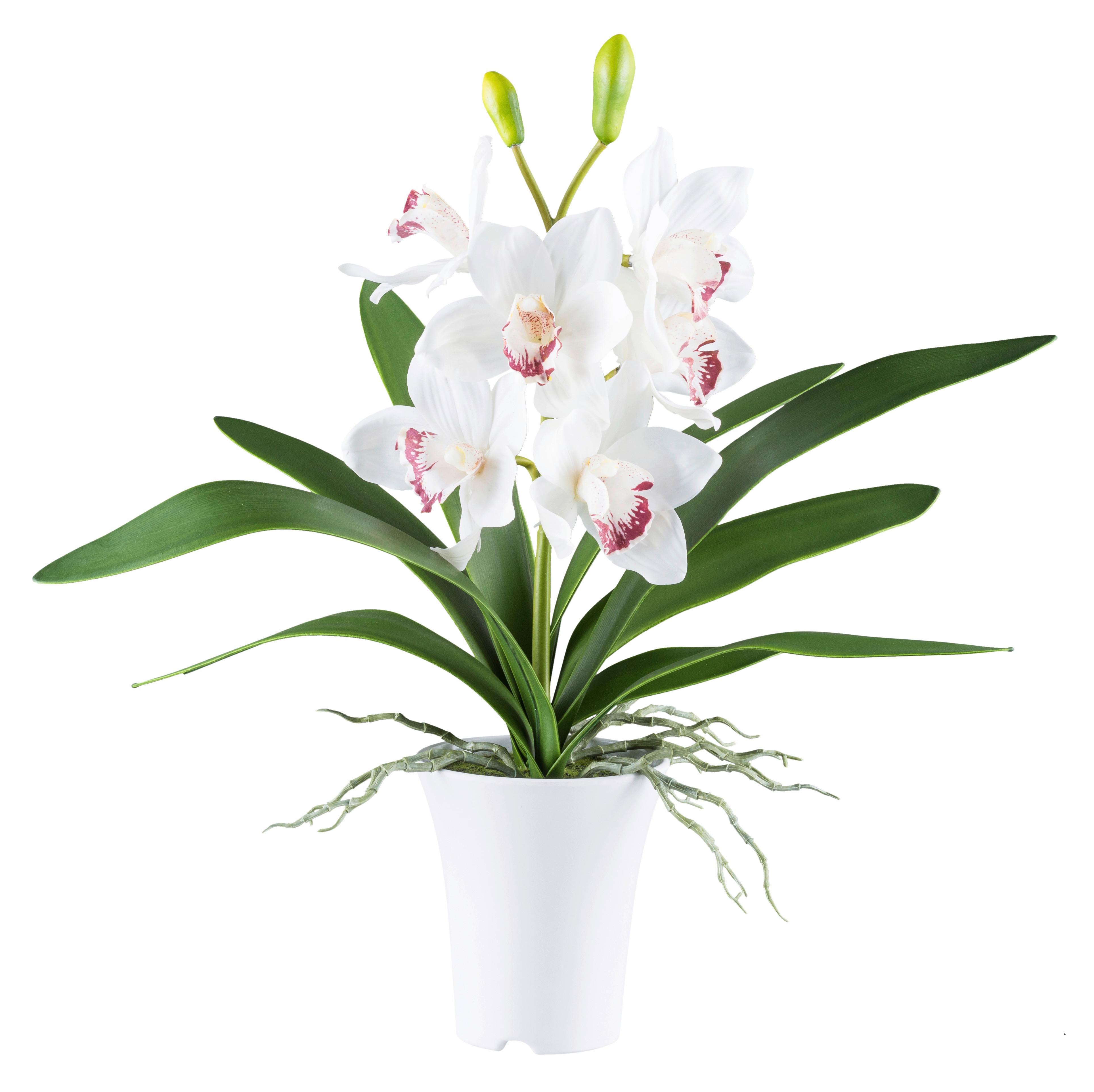 Kunstpflanze Orchideen Rosa/Weiß, 53 cm - Rosa/Weiß, Design, Kunststoff (53cm) - P & B